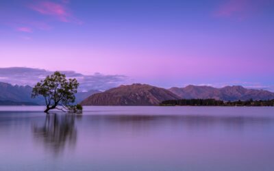 Living Authentically: Embracing the Full Spectrum of Human Emotions